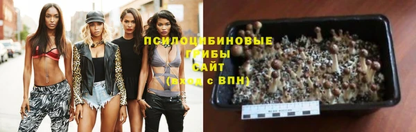 герыч Богородицк