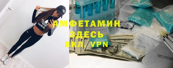 соль ск Богданович