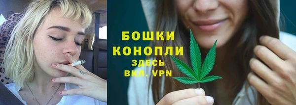 соль ск Богданович