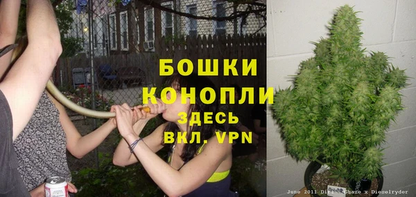 прущая мука Богородск