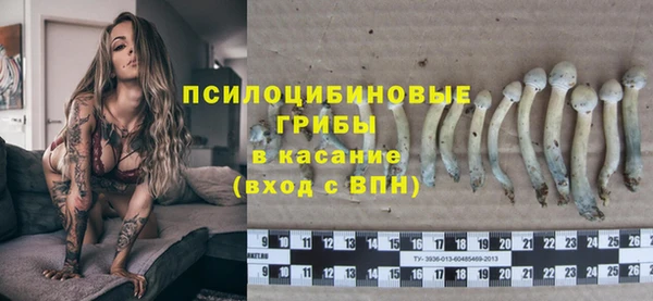 прущая мука Богородск