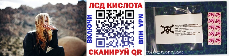 Наркотические марки 1500мкг Моршанск