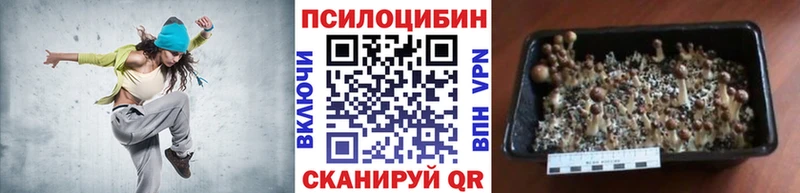 Псилоцибиновые грибы Magic Shrooms  Моршанск 